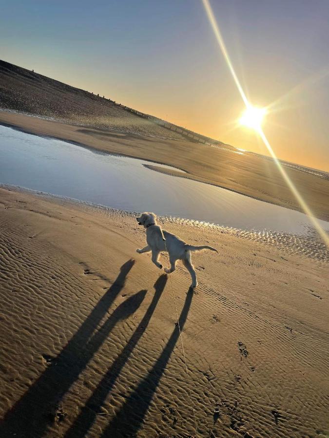 Pet Paradise Rye Kültér fotó